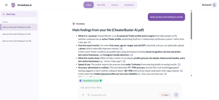 Knowbase.ai showing the uploaded file with chat response summarizing the main findings from the document