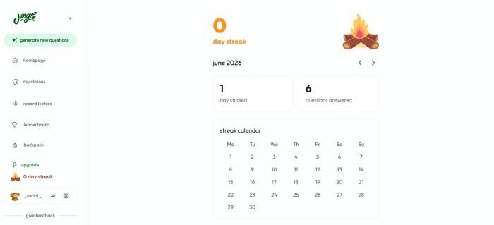 JungleAI statistics dashboard showing study progress tracking question accuracy metrics learning streak and retention measurements