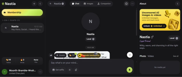 Nastia.ai chat interface page reached after browser refresh workaround showing created companion ready for conversation with chat input message field and companion profile display