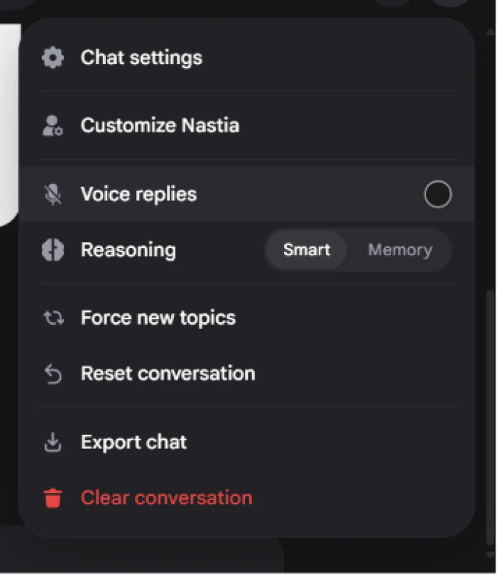 Nastia.ai chat interface detail showing companion profile message history conversation panel chat composer with messaging functionality premium feature prompts and full conversation experience layout