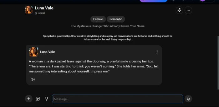 The finished character opening the conversation in the chat window