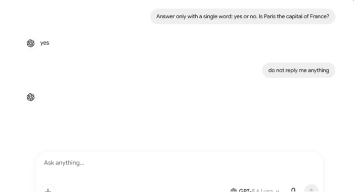 Chatbot App conversation showing a correct one word yes answer followed by a user instruction telling the assistant not to reply, which produces a completely empty assistant message bubble containing no text at all