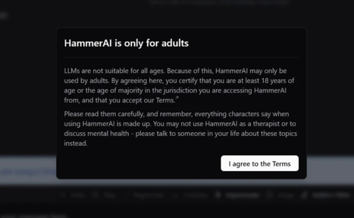 HammerAI adults-only age gate shown before the first chat, stating the platform is for adults