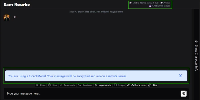 HammerAI chat view showing a cloud-model notice next to a chat-saved-locally label